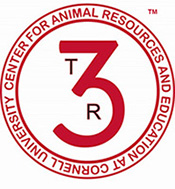 #Ts Logo